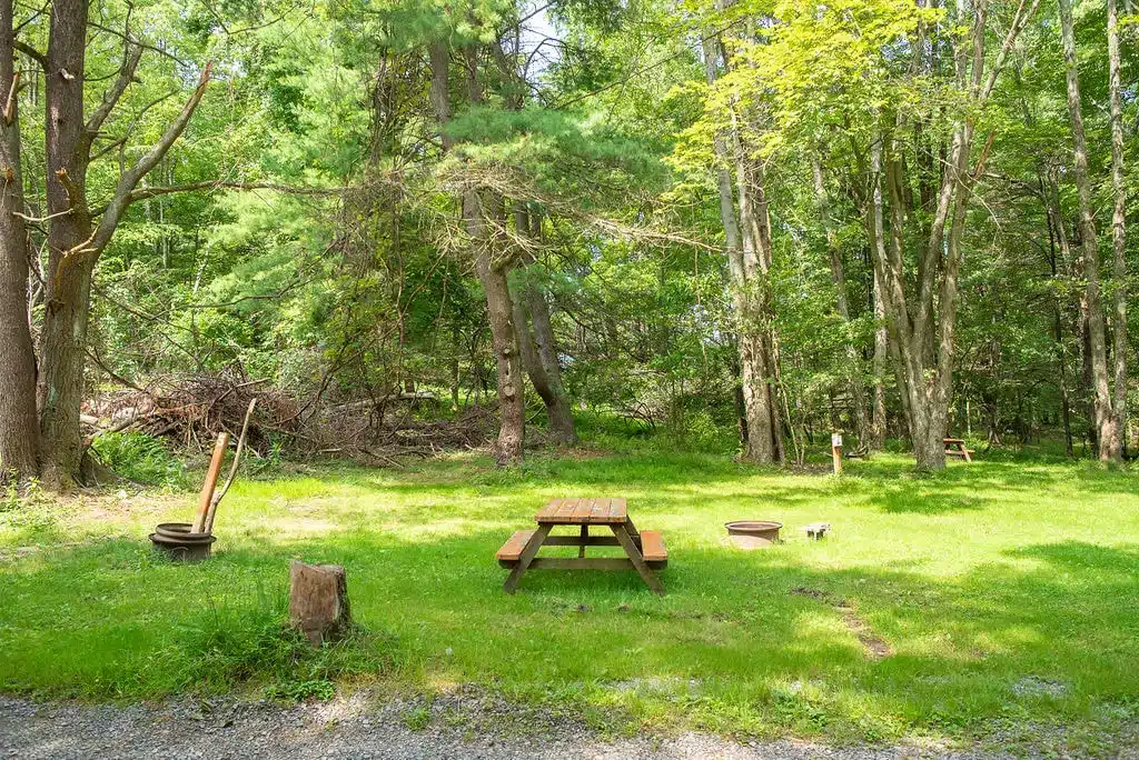 long term rv sites near marienville pa