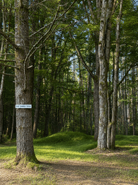 Hiking Trails